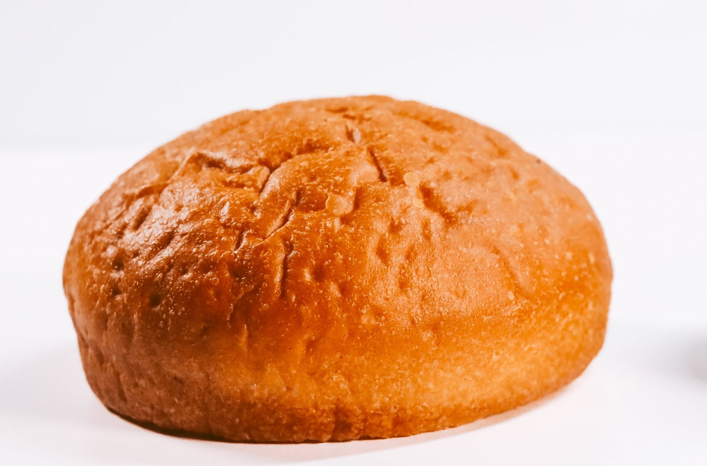 Buns potato bun vegan senza lattosio LabYou, primo piano