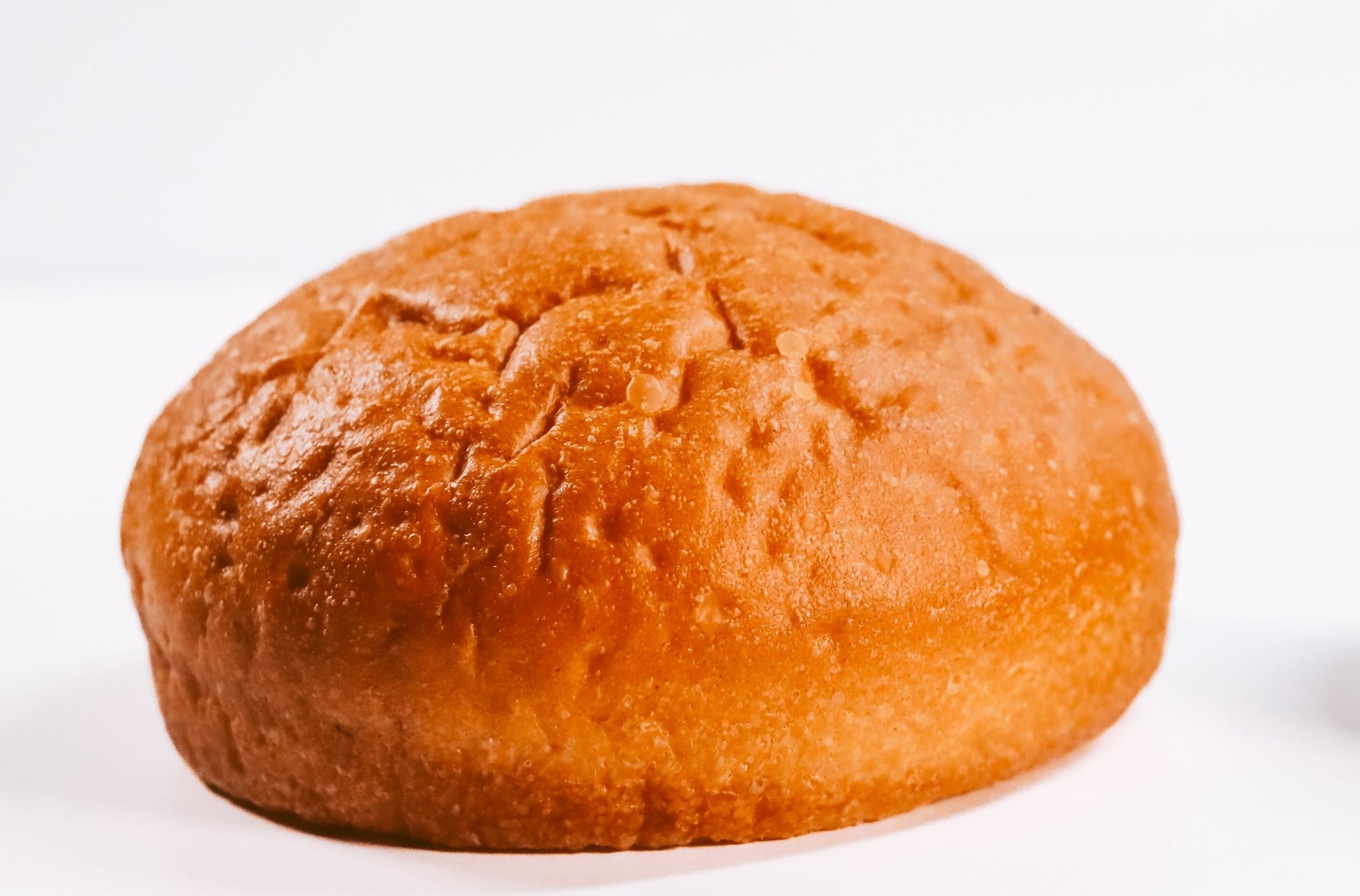 Buns potato bun vegan senza lattosio LabYou, primo piano